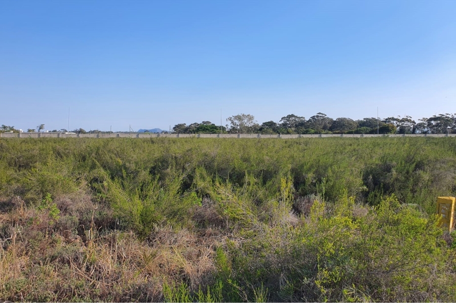 0 Bedroom Property for Sale in Greenbushes Eastern Cape